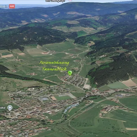 Tannenblick