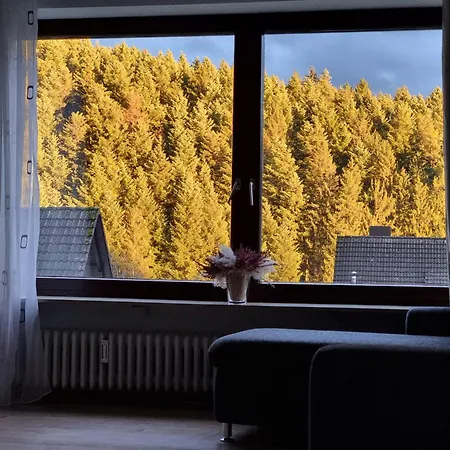 Tannenblick Apartment