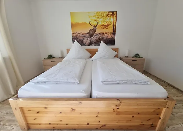 Tannenblick 公寓 泽尔阿哈莫斯巴赫